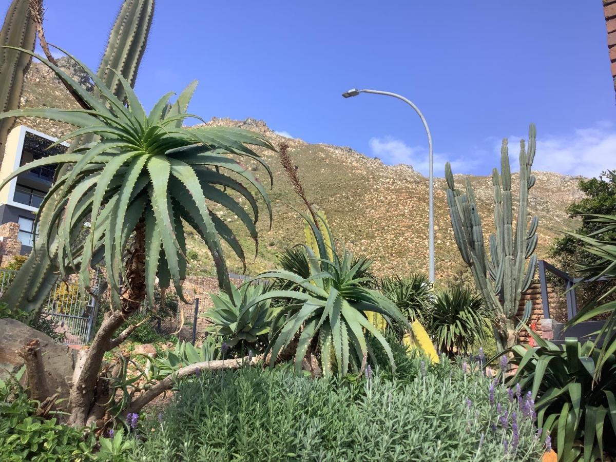 Studio With Unforgettable View Gordonʼs Bay Exterior foto